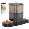 Automatic Cat Feeder for Two Cats — Automatic Pet Feeder, HoneyGuaridan