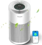 Smart Air Purifier for Large Rooms — Air Purifier, GoveeLife