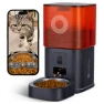 Automatic Pet Feeder with Camera — Automatic Pet Feeder, MOLLY&CODY