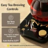 Electric Tea Maker with Infuser — Electric Kettle, HHT