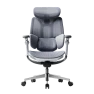 Ergonomic Office Chair with Dynamic Lumbar Support and Adjustable Headrest — Smart Chairs, Hbada