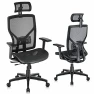 Ergonomic Office Chair with Footrest — Smart Chairs, SUNNOW