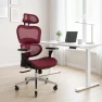 Ergonomic Office Chair with Lumbar Support, Adjustable Armrests, Headrest, and Wheels — Smart Chairs, Nouhaus