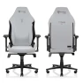 Gaming Chair - Reclining, Ergonomic & Heavy Duty Computer Chair with 4D Armrests, Magnetic Head Pillow & Lumbar Support... — Smart Chairs, Secretlab