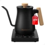 Gooseneck Electric Kettle with Temperature Control — Electric Kettle, Narcissus