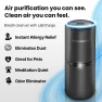 Small Ionic Air Purifier for Home & Bedroom – Silent HEPA Filter – Covers 250 Sq Ft – For Pet Hair, Smoke, Dust, Odors &... — Air Purifier, Lab Charge