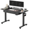 48 x 24 Inch Height Adjustable Electric Standing Desk with Double Drawer — Standing Desk, FEZIBO