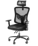 Ergonomic Office Chair with Padded Lumbar Support — Smart Chairs, NOBLEWELL