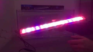 Обзор LED светильник для аквариума Sunsun SL-600 RWB, 12 Вт