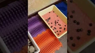 Сенсорная дорожка