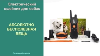 Электрический ошейник для собак вам не нужен! Почему я не рекомендую покупать электронный ошейник
