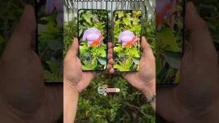 Oppo Reno 14 Vs Oppo Reno 14 Pro Comparison