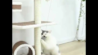 Игрушка для кошек интерактивный мяч с подъемом