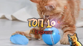 Топ 10 Игрушек для Кошек с Aliexpress🐱 умные игрушки для кошек | товары для кошек 2022