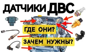 7 Основных датчиков авто. За что отвечают? Где находятся? Признаки неисправности.