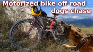 Motorized bike off road dogs chase