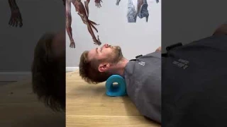 Testing out the VIRAL Neck Pillow