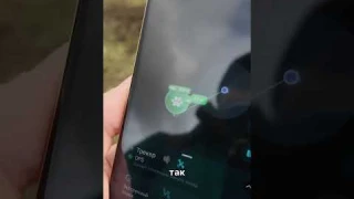 Кот Плюха вместе с Иваном тестирует GPS трекер Petsee Cats  #gpsтрекер #cat #gpstracker #gpsошейник