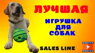 Лучшая игрушка для собаки | Интерактивный мячик