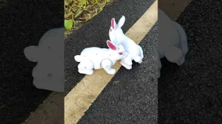 Tow Rc Rabbit Review Tasting 🤪