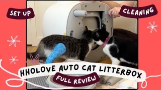 AWESOME auto cat litter box HHOLOVE - review, unboxing, set up, deep cleaning