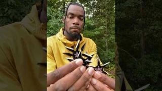 How To Throw Ninja Stars #howto #ninjastar #shortfeed #review