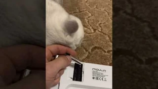 Какой процент жира мне покажут умные весы? Посмотрим вместе!