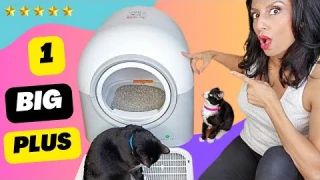 😻1 BIG plus with the HHOLOVE Self Cleaning Litter Box - ✅ Review + ALL features explained!