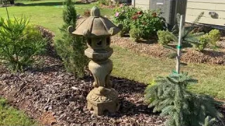 Tour of Conifers Garden // September 2020