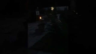 Освещение сада светильниками на солнечных батареях