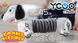 Интерактивная Робо-Собака "ДЭКЕЛ" на 15toys.RU