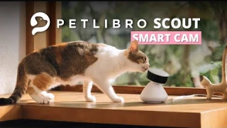 Petlibro Scout Smart Camera Review - AI Pet Camera That Looks After Your Dogs and Cats