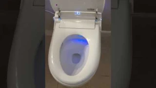 Smart Toilet Quick Review: Heated Seat, Bidet, Auto Flush & Sensor  RGB– Ultimate Bathroom Upgrade!