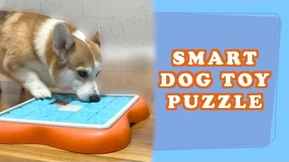 BEST SMART DOG TOY PUZZLE - Review