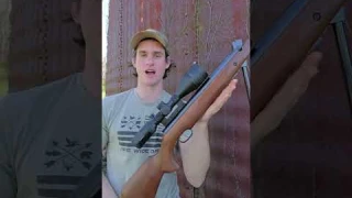 $60 vs $1,000 Break Barrel Air Rifle  #airgunning #pelletrifle #hunting #shorts