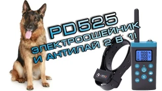 Электронный ошейник с антилаем PaiPaiTec PD525 инструкция