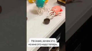 Прикольные находки с ВБ // WB артикулы 👇🏼