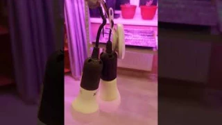Попросила мужа сделать подсветку для рассады🤣🤣