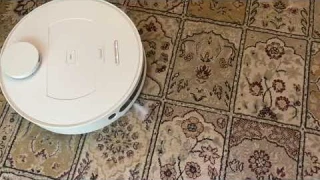 Tefal X-plorer Serie 75 RG7687 - Test odkurzania sierści kota z dywanu