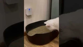умный очиститель запаха кошки