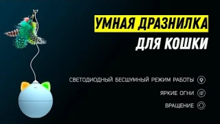 Умная дразнилка для кошки / Автоматическая игрушка для кота (Aliexpress)