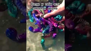 Наши змейки на выгуле #3dprinting #3d #3дпечать #игрушки #змеи #антистресс #choicetoys #toys