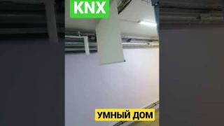 управление шторами  www.module-electronic.ru #knx #умныйдом