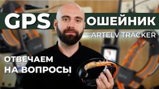 Самые популярные вопросы о GPS Ошейнике Artelv Tracker! Отвечаем!