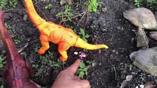 review after upgrade, Brachiosaurus hatch eggs