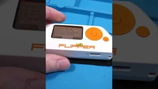 Can The Flipper Zero HACK A TESLA? #shorts