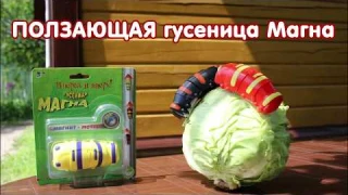 Гусеница Магна – оригинальная электро-механическая игрушка