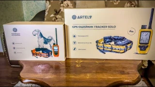 Новая версия GPS-ошейника ARTELV TRACKER 2W | Обзор и сравнение с предыдущей моделью