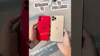 iPhone 11 Vs iPhone 11 Pro Max | Camera Zoom Test! 📸🔥#shorts
