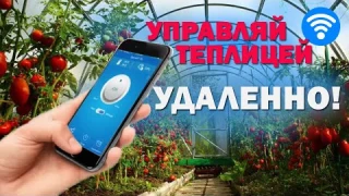 Умная теплица как сделать самостоятельно. Автоматизировать выращивание на самом деле просто!!!